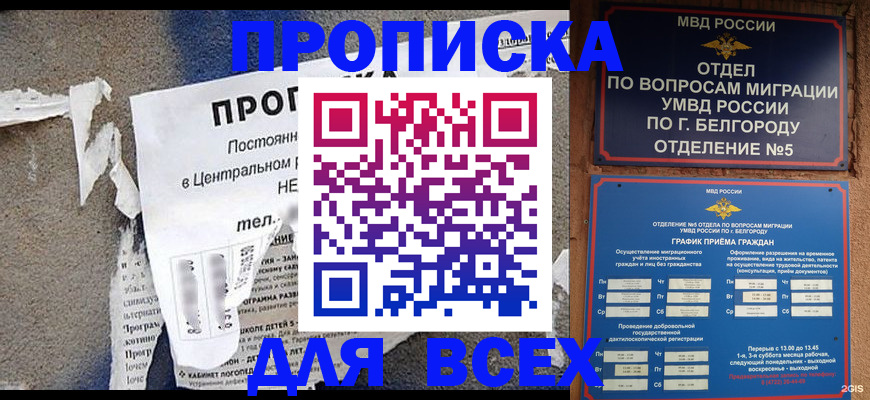временная регистрация адрес в Апатитах